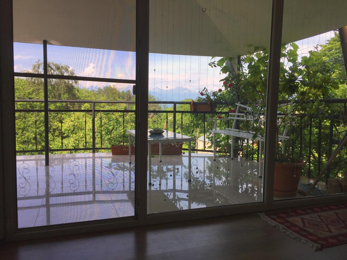 Nino'S Veranda Apartment Τελάβι Εξωτερικό φωτογραφία